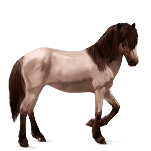 riding horse tennessee walker roan