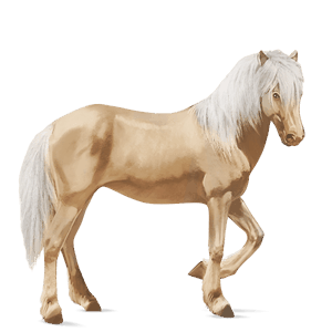 riding horse akhal-teke palomino