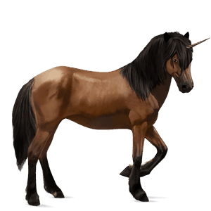 riding unicorn liver chestnut