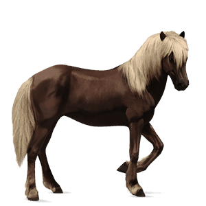 riding horse akhal-teke dapple grey