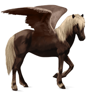 riding pegasus akhal-teke dark bay