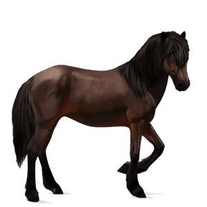 riding horse tennessee walker dark bay