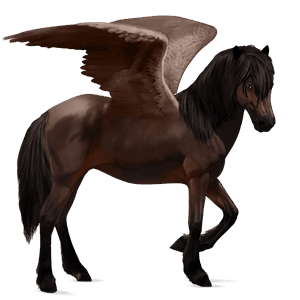 riding pegasus nokota dark bay
