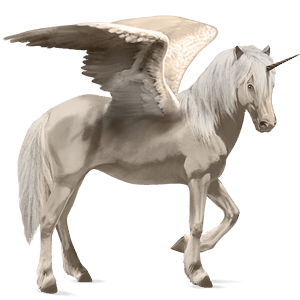 winged riding unicorn appaloosa black blanket 