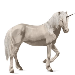 riding unicorn icelandic horse cremello