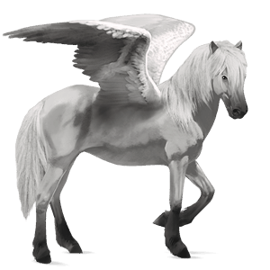riding pegasus argentinean criollo dapple grey