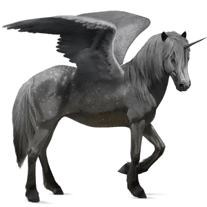 winged riding unicorn mangalarga marchador dapple grey