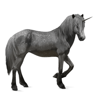 riding unicorn french trotter dapple grey