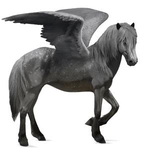 riding pegasus thoroughbred mouse grey