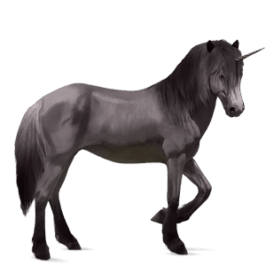 riding unicorn icelandic horse liver chestnut
