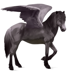 riding pegasus thoroughbred mouse grey