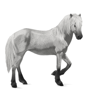 riding horse light grey