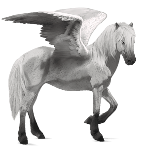 riding pegasus irish hunter dark bay