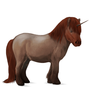 unicorn pony shetland dapple grey