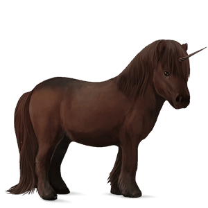 unicorn pony shetland dun