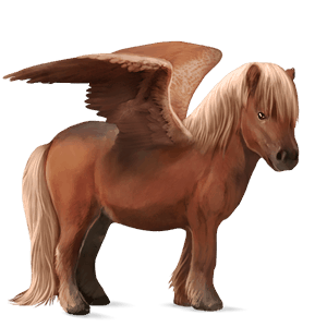 pegasus pony shetland flaxen chestnut 