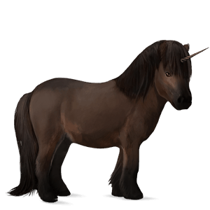 unicorn pony shetland dark bay