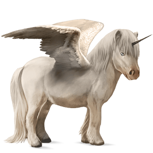winged unicorn pony  shetland dapple grey