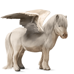 pegasus pony black