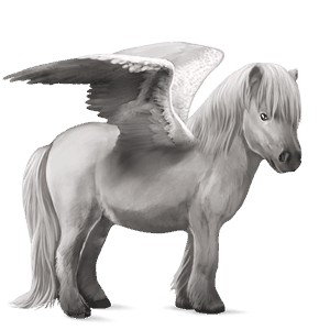 pegasus pony shetland light grey