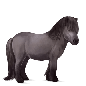 pony shetland mouse grey