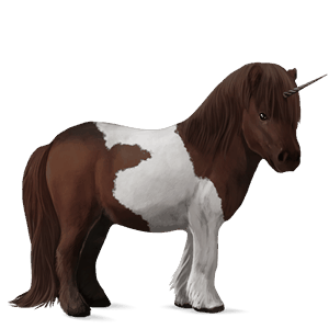 unicorn pony shetland roan