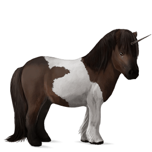 unicorn pony shetland black tobiano