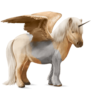 winged unicorn pony  shetland dark bay