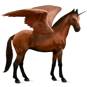 winged riding unicorn cherry bay