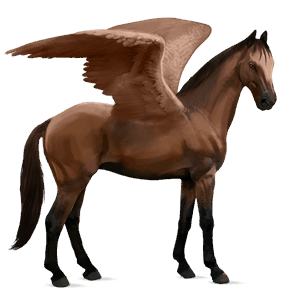 riding pegasus irish hunter bay