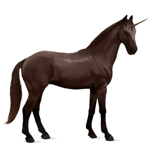 riding unicorn finnish liver chestnut