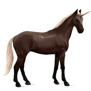 riding unicorn holsteiner black
