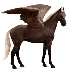 riding pegasus holsteiner light grey