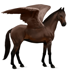 riding pegasus selle français liver chestnut