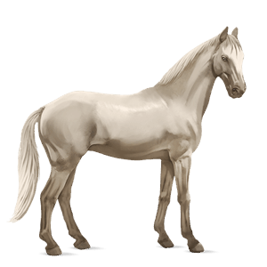riding horse irish hunter cremello