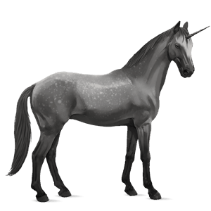 riding unicorn holsteiner dapple grey