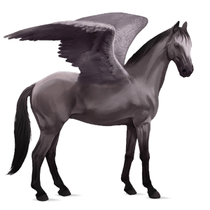 riding pegasus argentinean criollo mouse grey