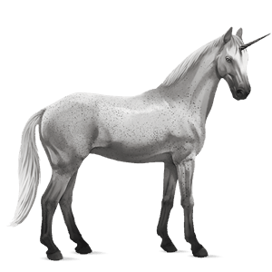riding unicorn holsteiner dapple grey