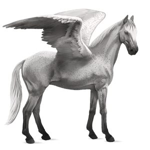 riding pegasus irish hunter dapple grey