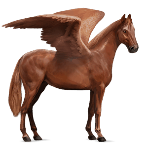 riding pegasus akhal-teke chestnut