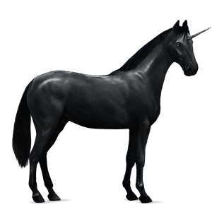 riding unicorn holsteiner dark bay