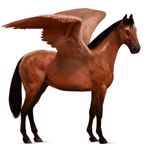 riding pegasus hanoverian cherry bay