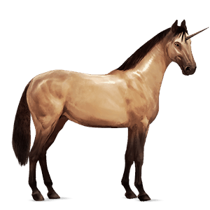 riding unicorn mustang dun