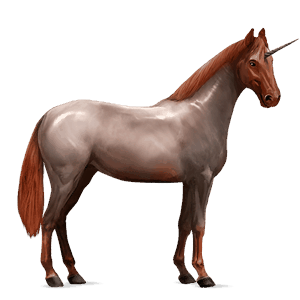 riding unicorn hanoverian strawberry roan