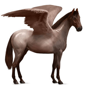 riding pegasus thoroughbred dark bay