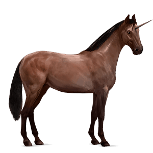 riding unicorn holsteiner black