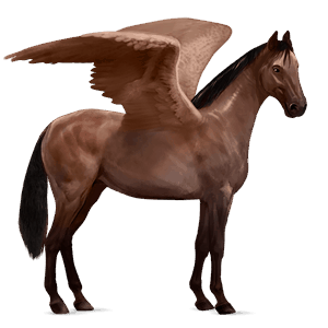 riding pegasus selle français liver chestnut