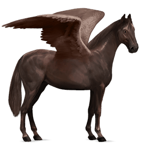 riding pegasus dapple grey