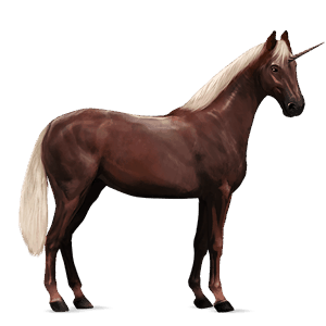 riding unicorn quarter horse black