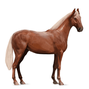 riding horse flaxen chestnut 